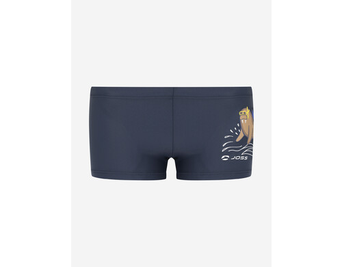 Плавки-шорты для мальчиков Joss, Синий