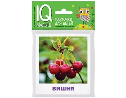 Умный малыш. Что растёт в саду?