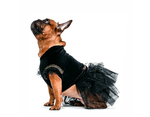 Платье для собак FORBULLDOGY Нарядное Рост Maxi размер S DR-1 (Дл.спинки с юбкой 48см, цвет чёрный)