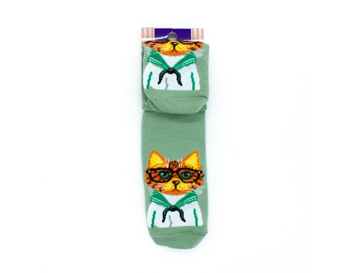 Носки MASTER SOCKS Кот в матроске зелёный мужские р.27