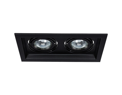 Светильник потолочный Arte Lamp A6661PL-2BK