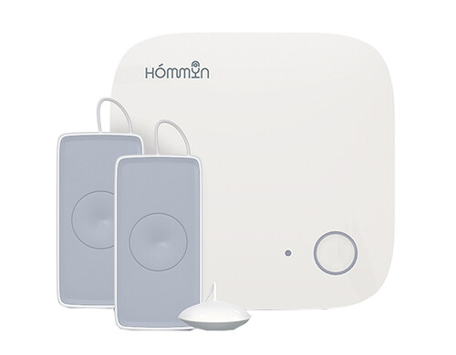 Комплект умного дома Hommyn Антипротечка Lite KS-31-WZ