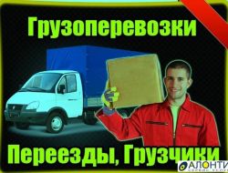 Фотография транспорта