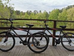 Фотография транспорта