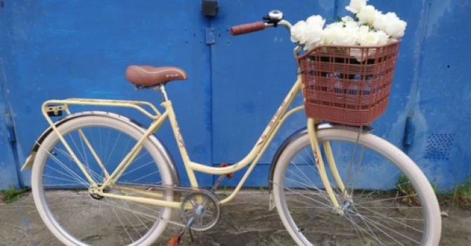 Фотография транспорта STELS Stels Navigator 325