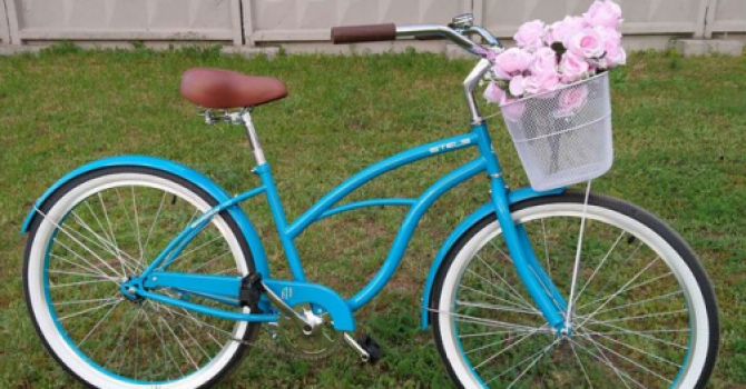 Фотография транспорта Stels Stels Navigator 110 Lady