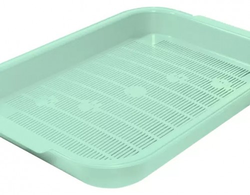 Лоток Gamma Колор, фисташковый, 38x28x5,5 см