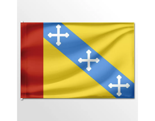 Флаг ЦТП ФЕНИКС сельского поселения Головачёвское 135x90 см