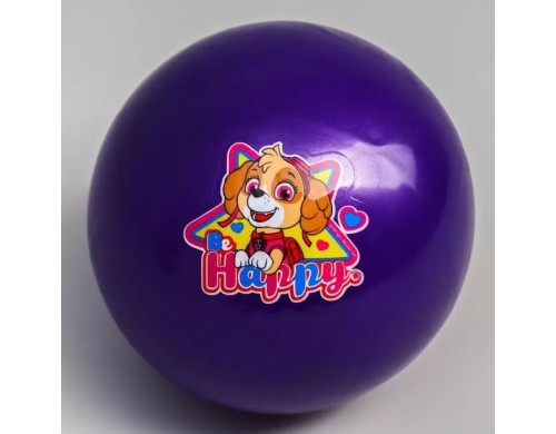 Мяч детский Paw Patrol "Happy", 16 см, 50 гр, цвета МИКС