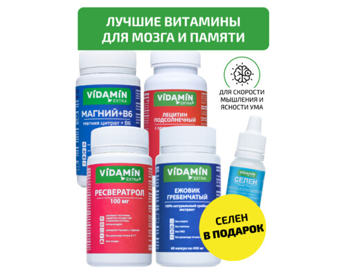 Витамины для памяти и мозга VIDAMIN EXTRA Ежовик гребенчатый Ресвератрол Лецитин Магний B6