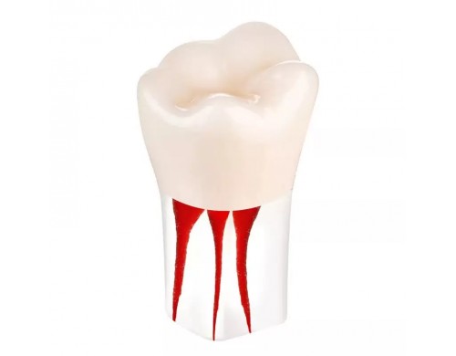 Эндоблок Revyline Дентальный канал TM-407 Трехканальный моляр