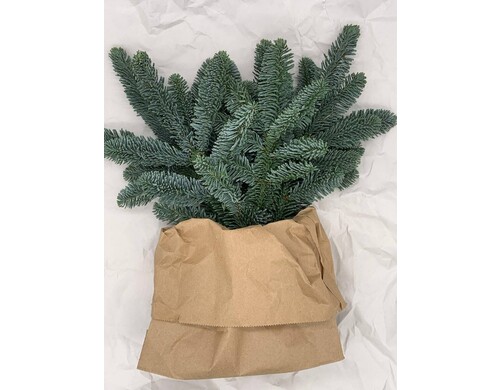 Нобилис, Decor&Co, натуральный, 25см