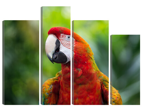 Большая модульная картина Попугай. В спальню, гостиную, зал. PR-1543 (149x100см)