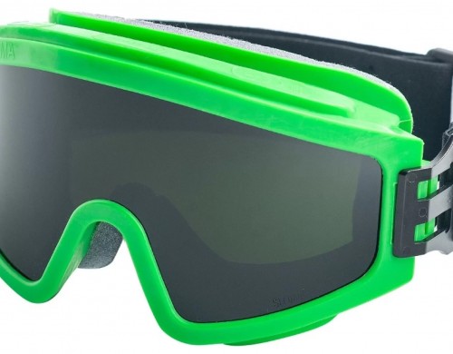 Очки защитные закрытые РОСОМЗ ЗН11 PANORAMA Strong Glass (5 РС) 24134