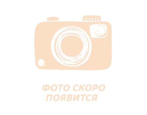 Тостер REDMOND RT-M409 Silver