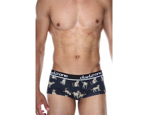 Трусы мужские DARKZONE DZN3311 синие L 1 штука