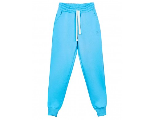 Брюки мужские Atmosphere Safe and warm голубые 2XL