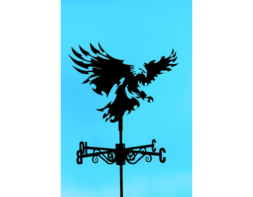 Флюгер  фл_орел