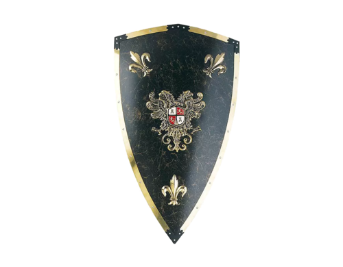 Щит рыцарский Карла V Великого KSVA-AG-809