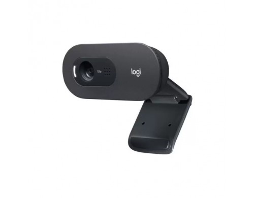 Web-камера Logitech C505 Black (960-001364)