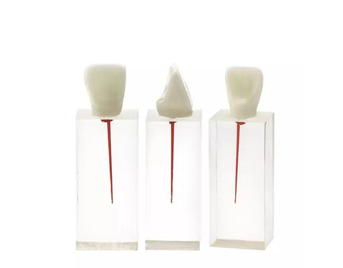 Эндоблок Revyline Дентальный канал TM-406 Резец